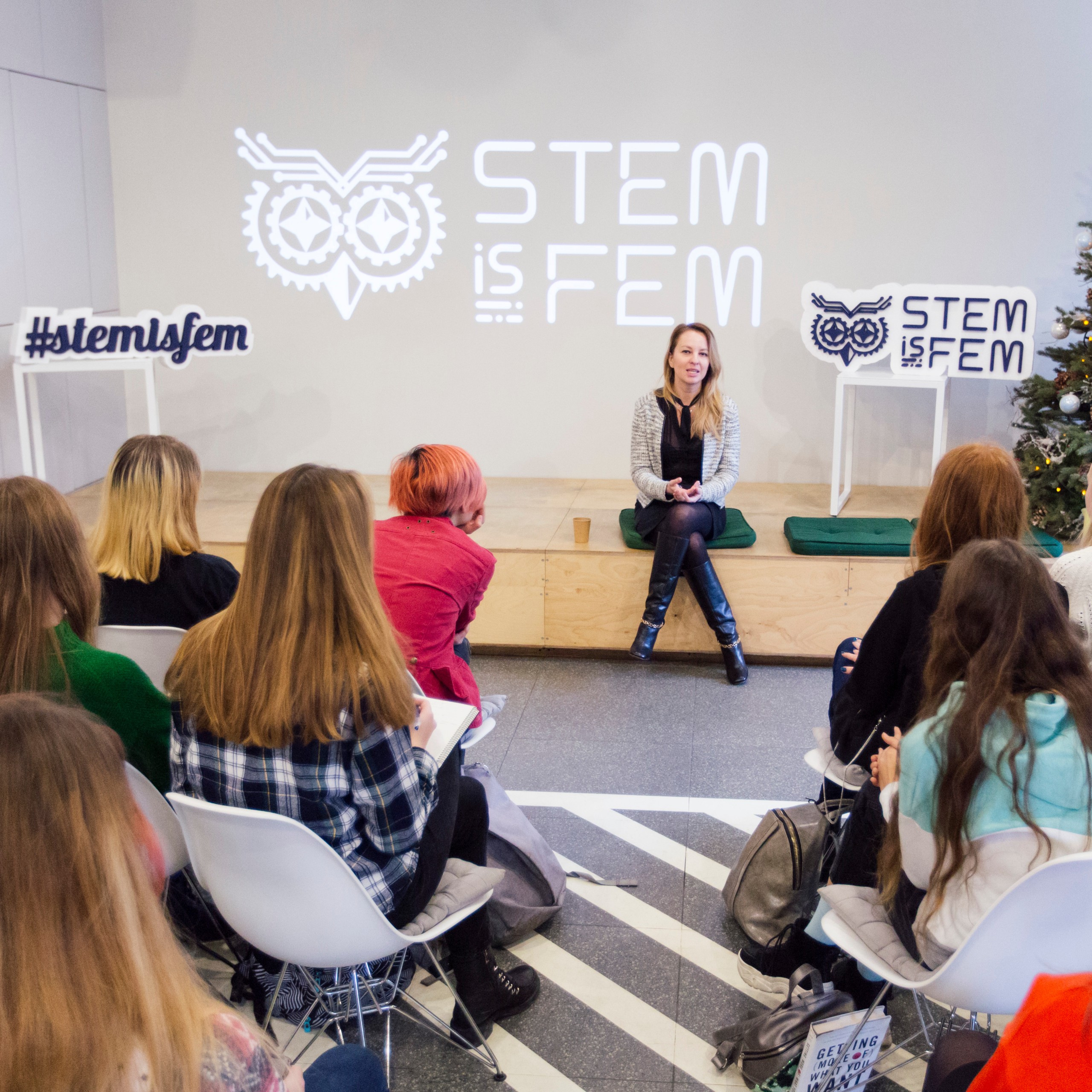 All You Wanted to Know About the Second Module of the STEM is FEM